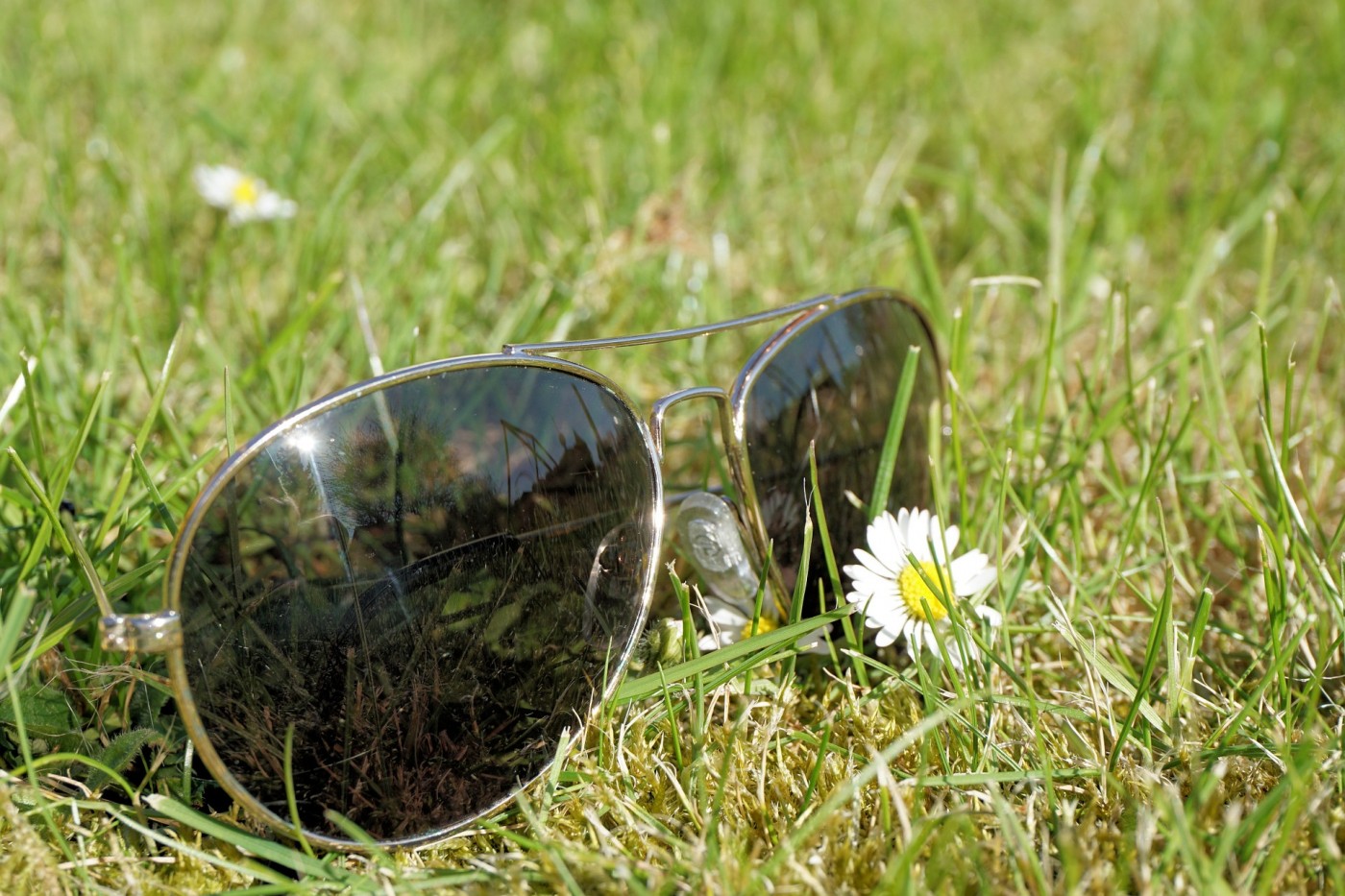 Weekend au soleil